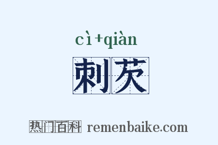 刺芡是什么意思的图片